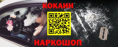 шишки Сланцы