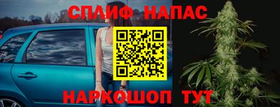 шишки Сланцы
