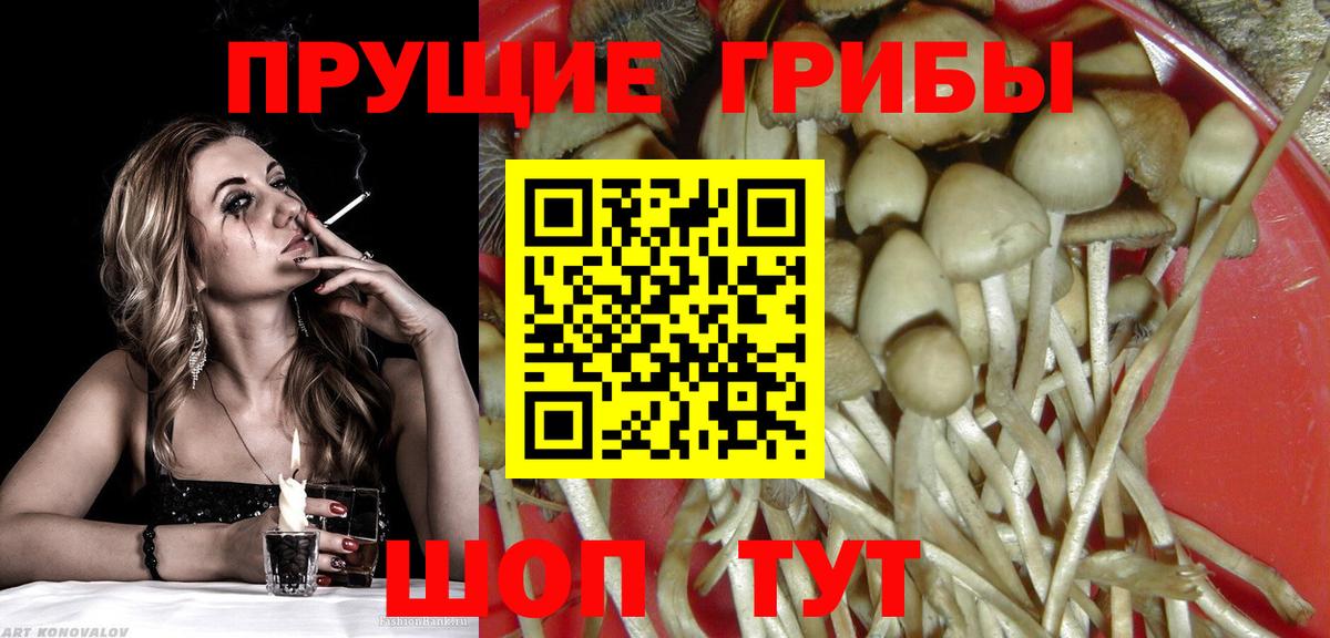 Баксан  Псилоцибиновые грибы GOLDEN TEACHER  Псилоцибиновые грибы ЛСД  Вход с VPN 