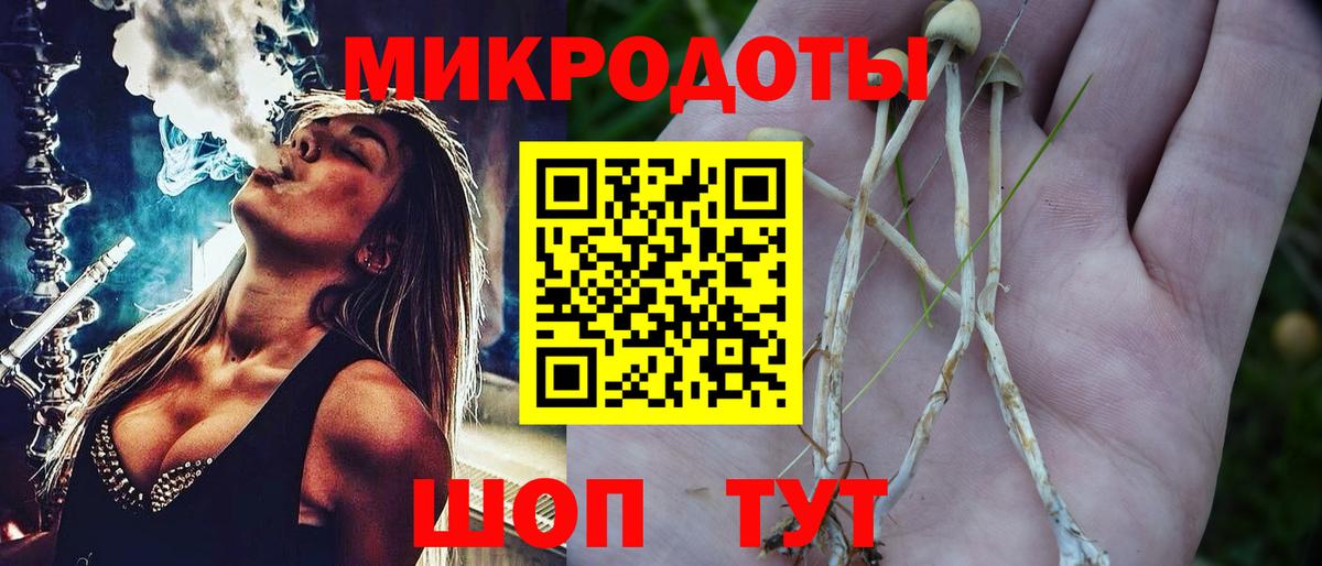 Псилоцибиновые грибы прущие грибы Баксан